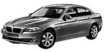 BMW F10 P0509 Fault Code